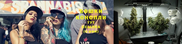 бошки Ладушкин