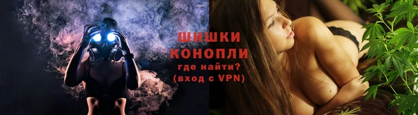 ПСИЛОЦИБИНОВЫЕ ГРИБЫ Лабытнанги