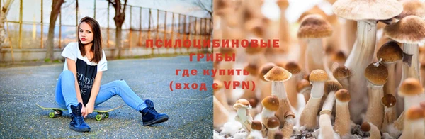 ПСИЛОЦИБИНОВЫЕ ГРИБЫ Лабытнанги