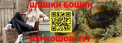 индика Дубна