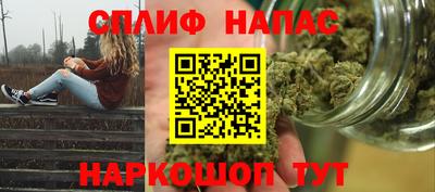 индика Дубна