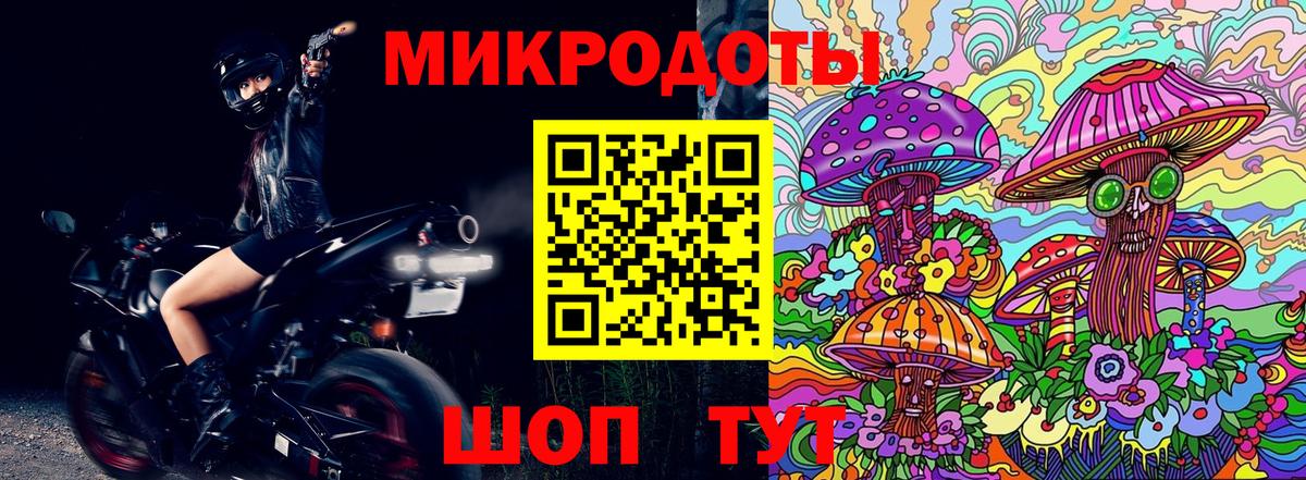 Галлюциногенные грибы Psilocybe Кемерово