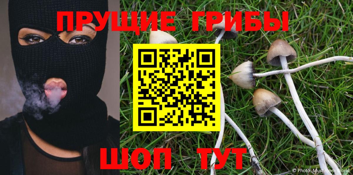 Кемерово  Псилоцибиновые грибы мухоморы  Псилоцибиновые грибы Cubensis  Вход с VPN 