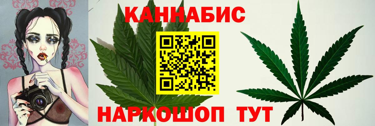 Бошки марихуана сатива  МАРИХУАНА AK-47  Канабис MAZAR  Кемерово  Вход с VPN 